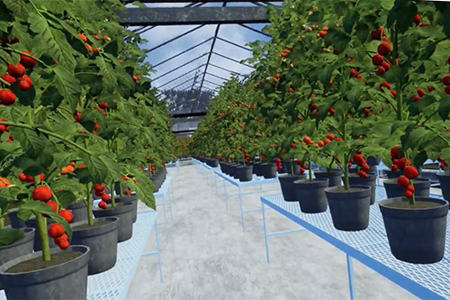 Virtual Greenhouse