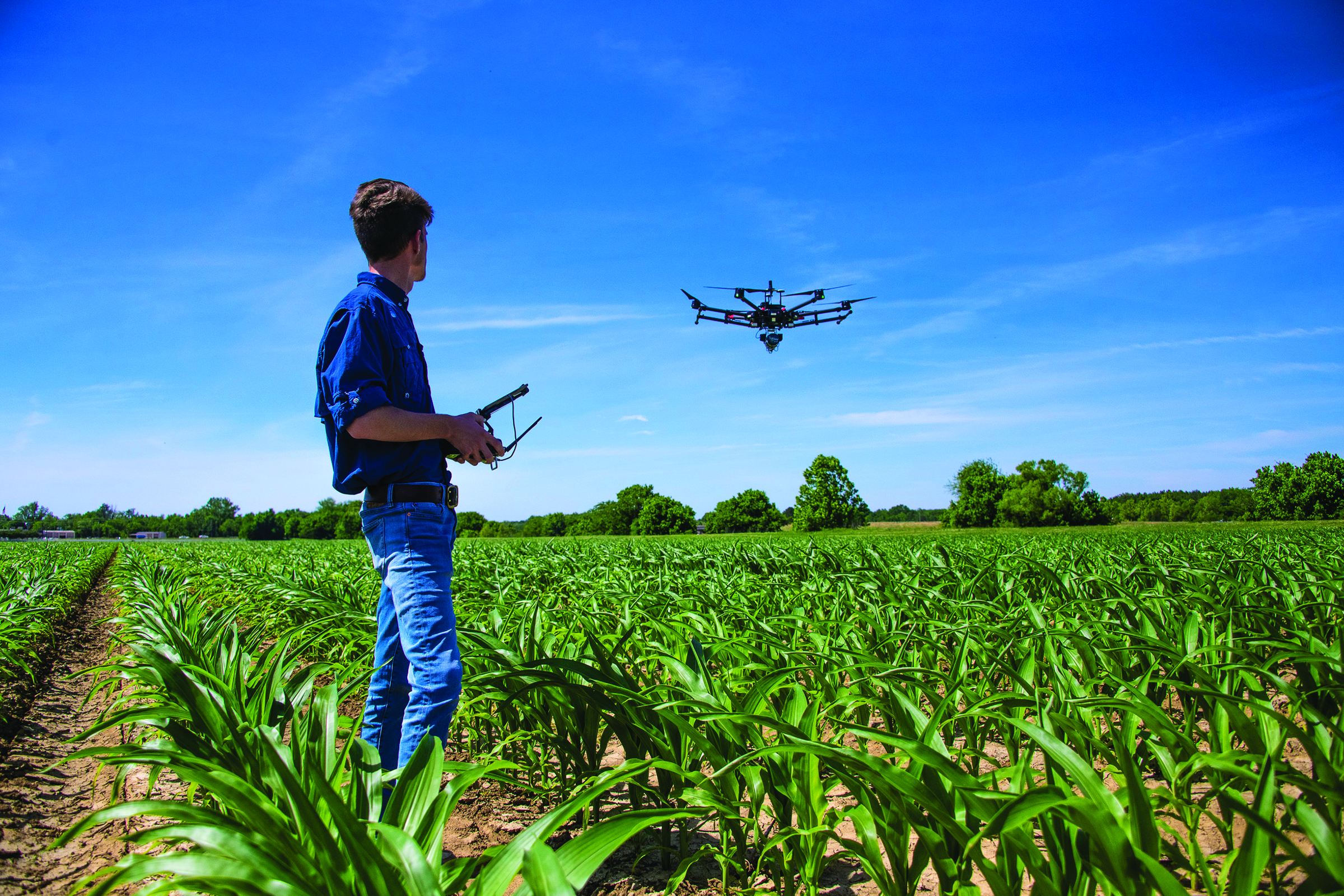 Student with drone in field of crops